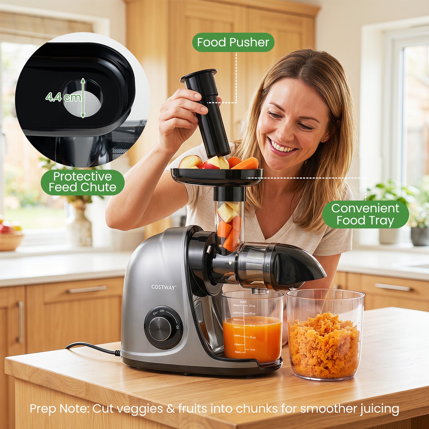 Costway Slowjuicer Koudpers 150 W Elektrische Juicer met Omkeerfunctie Sapcentrifuge met Reinigingsborstel 2 Containers Zilver