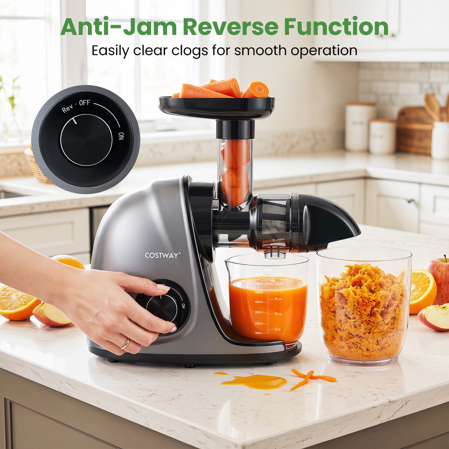 Costway Slowjuicer Koudpers 150 W Elektrische Juicer met Omkeerfunctie Sapcentrifuge met Reinigingsborstel 2 Containers Zilver