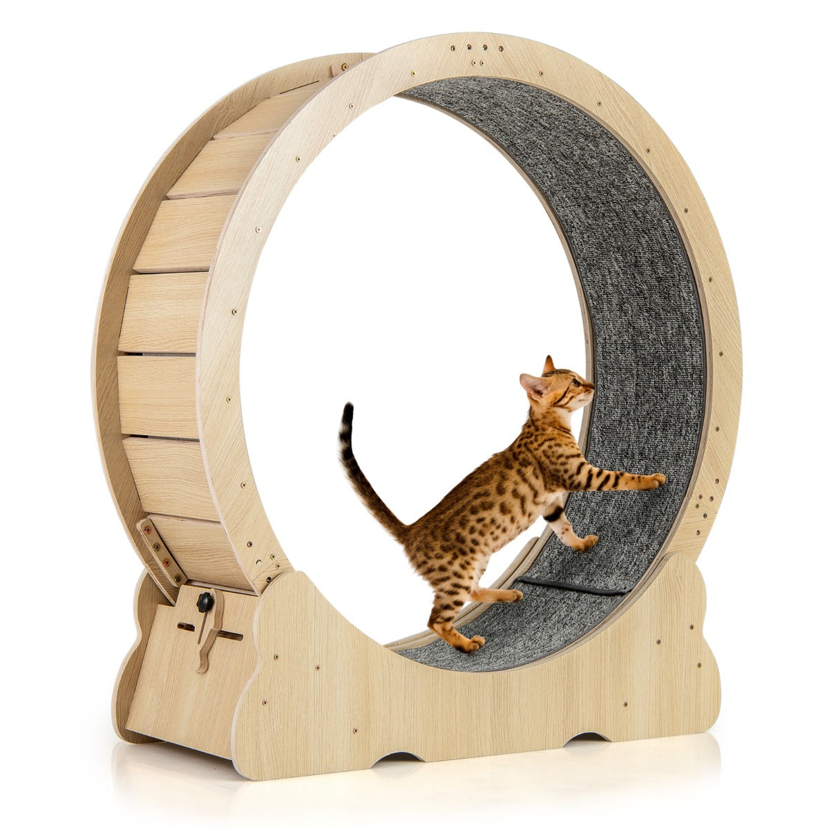Livsk costway 101 cm groot trainingswiel voor katten kattenloopband met vergrendelbaar mechanisme gelambriste loopvlak