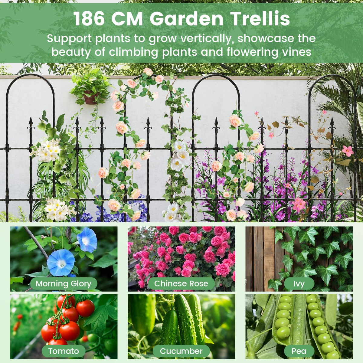 LIVSK Tuin-Spalier voor Klimplanten - Roestvrij Metalen Frame met PE-Coating - 146 x 186 cm - Stabiele Installatie - Zwart