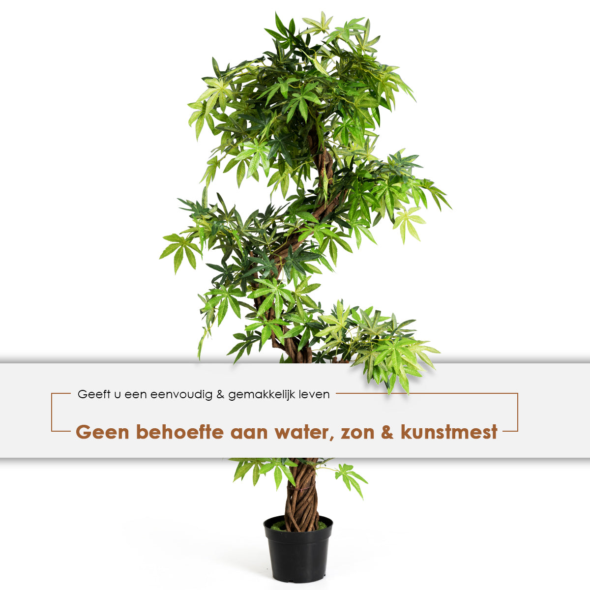 LIVSK Gesimuleerde Spiraalvormige Bonsai - 160 cm Hoog - Realistische Bladeren - Onderhoudsvriendelijk - Groen