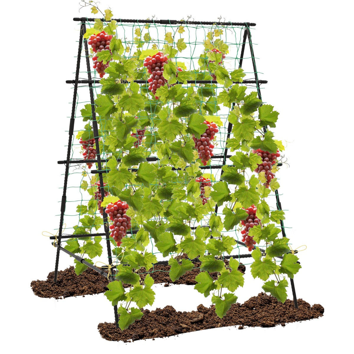 LIVSK A-frame Tuinhark - PE Gecoate Metalen Buizen - Stabiliteit met Sure-clips - Eenvoudige Installatie - 130 x 105 x 151 cm -