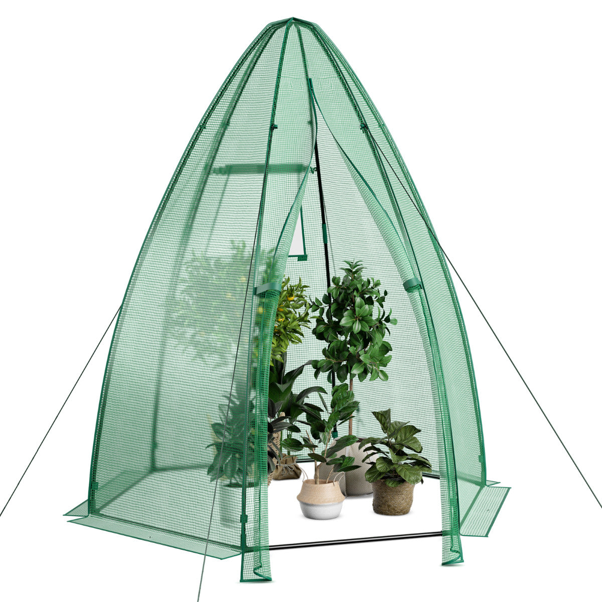 LIVSK Draagbare Mini-Broeikas - Voor Kleine Balkons en Tuinen - Windbestendig met Oprolbare Deur - 160 x 160 x 183 cm - Groen