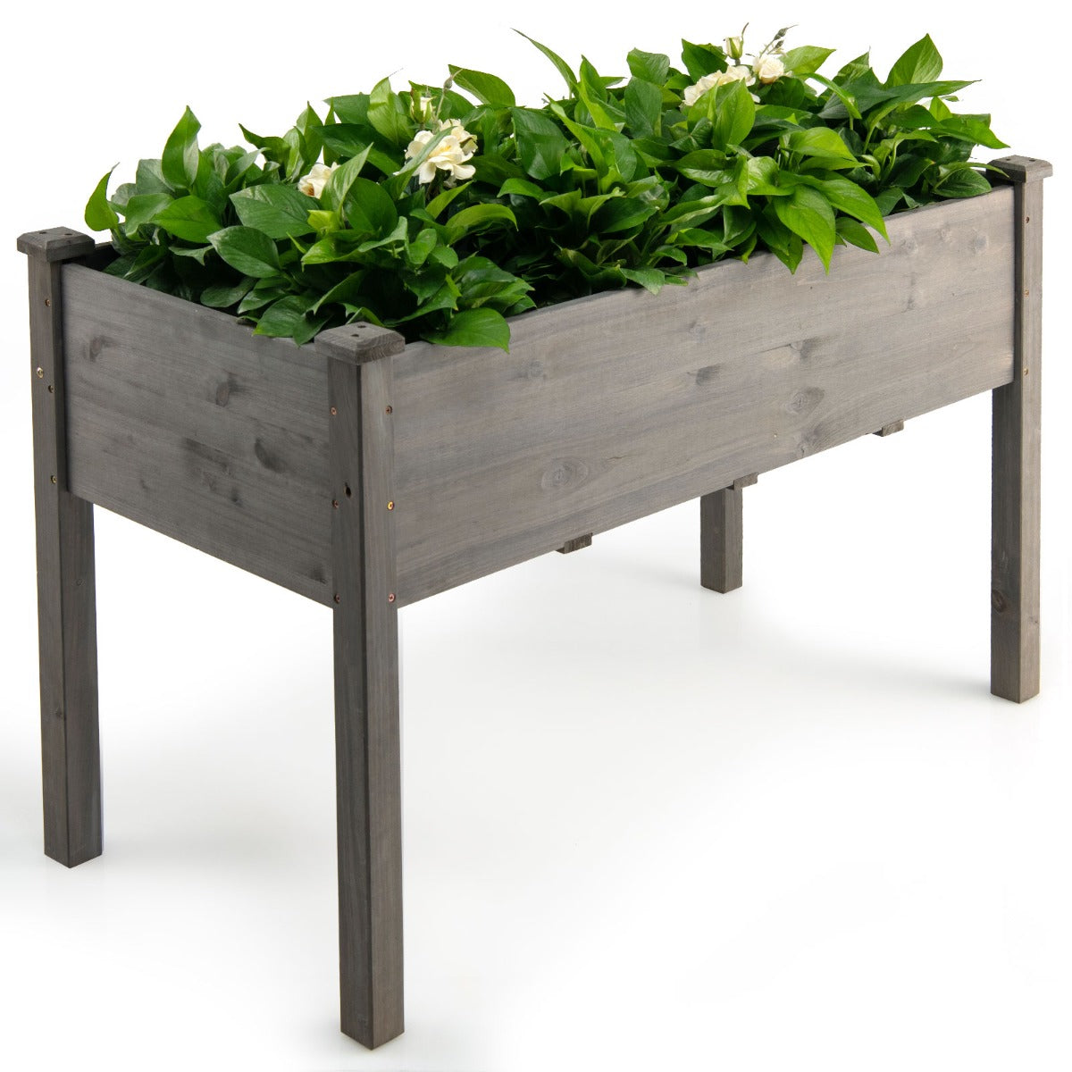 LIVSK Verhoogd Plantenbed - Sparrenhout - Optimale Groeiomstandigheden met Drainagegaten - 125 x 59 x 76 cm - Grijs