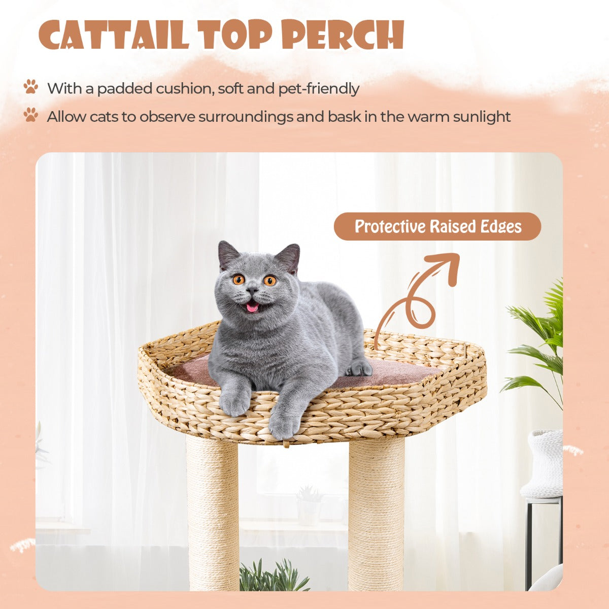 LIVSK Houten Kattenboom 131 cm - 4 Niveaus met Luxe Kussens - Natuurlijke Sisal Krabpalen - Interactieve Hangende Bal - Koffie +