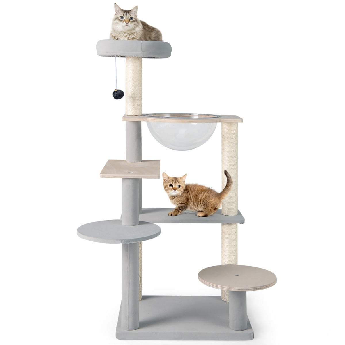 LIVSK Moderne Kattenkrabpaal - Transparante Kap - Afneembare Pluchen Zitstok - Sisal Krabpalen - 4 Platforms - Natuurlijk