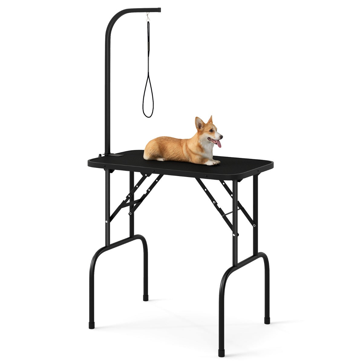 LIVSK Huisdierverzorgingstafel - Verstelbaar en Opvouwbaar - Antislip Waterdicht - Draagvermogen 100 kg - 80,5 x 46 x 76,5 cm -