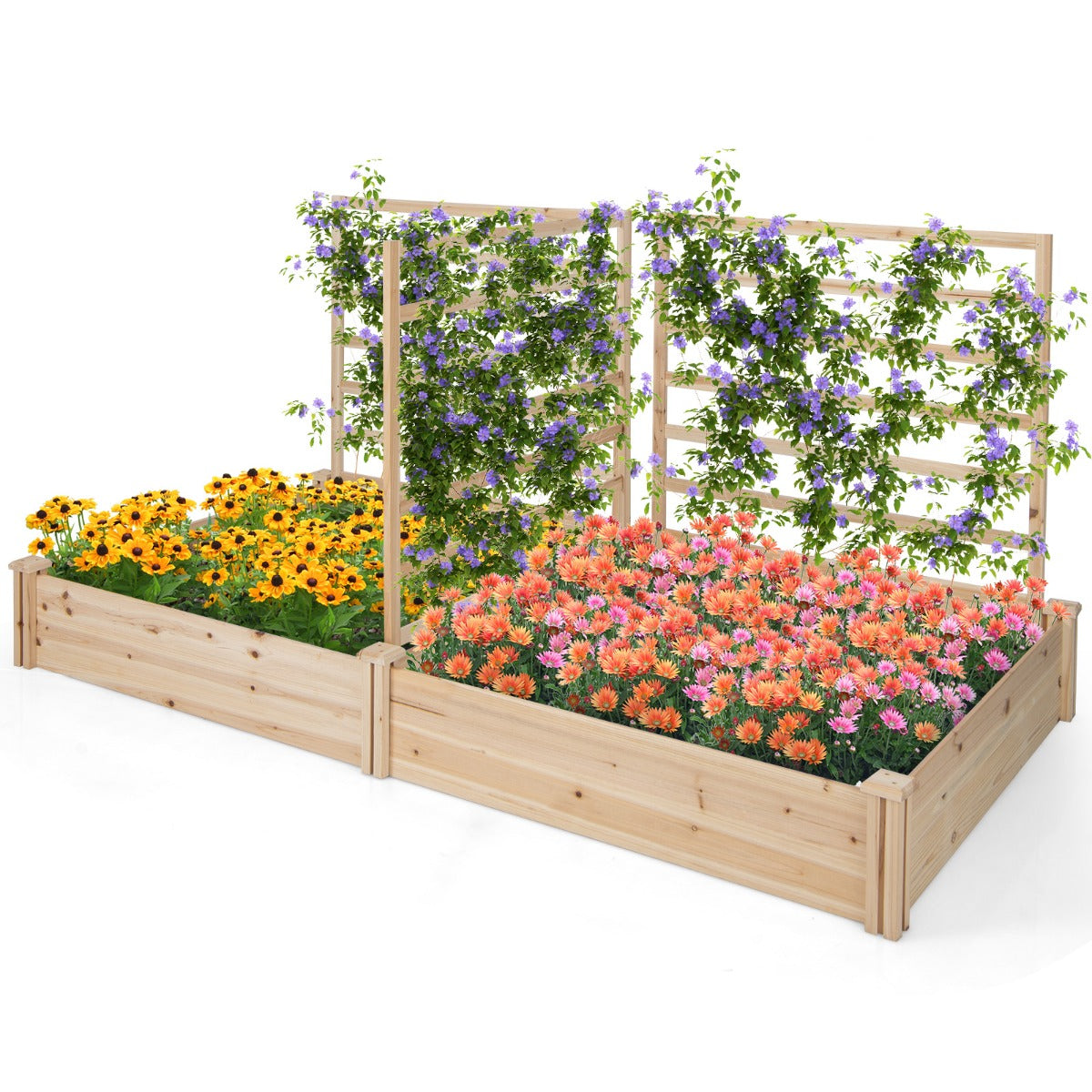 LIVSK Verhoogd Tuinbed met 2 Plantenbakken en 3 Klimpanelen - Duurzaam Dennenhout - Open Basis voor Goede Drainage - Natuurlijk