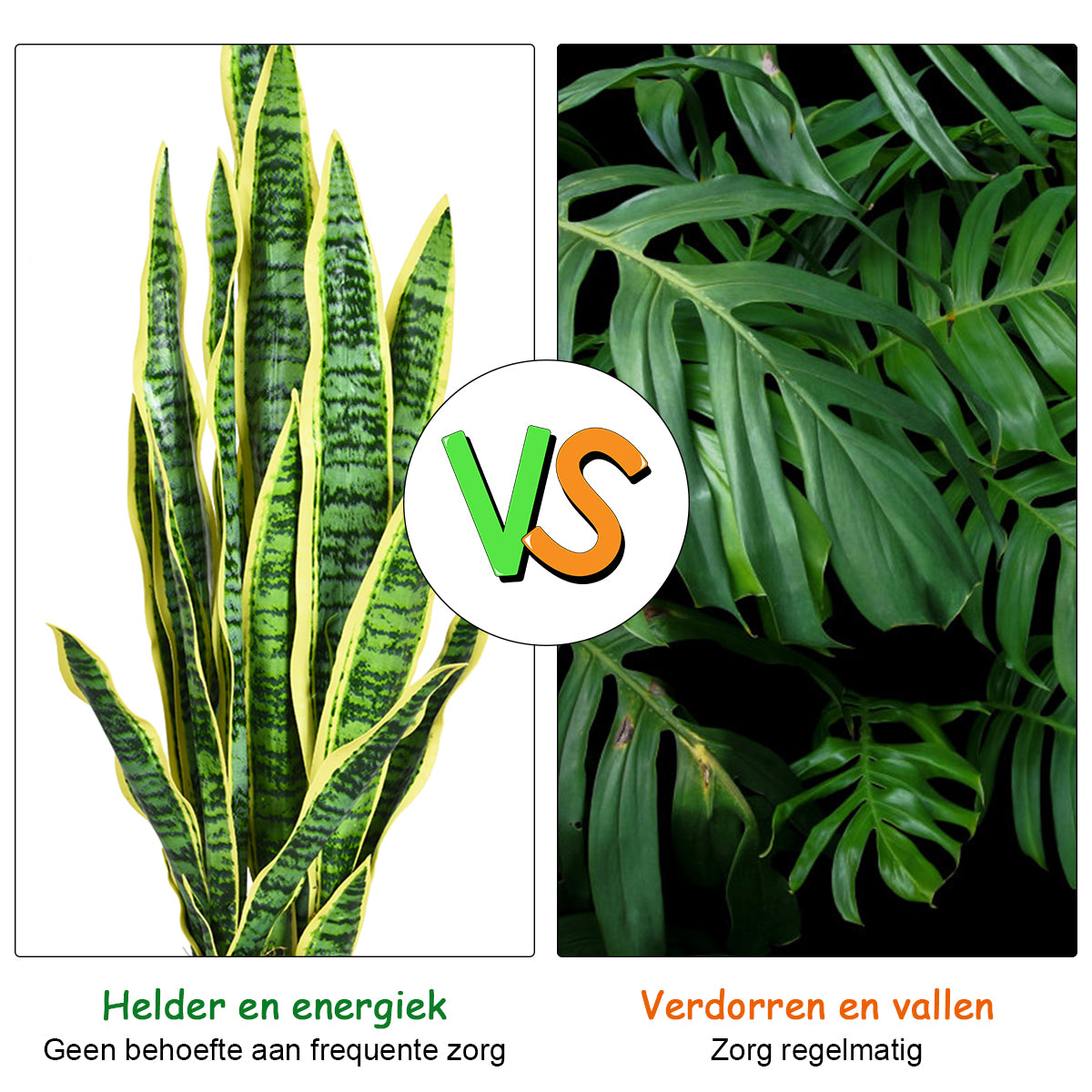 LIVSK Sansevieria Slangplant - Realistisch Uiterlijk - Milieuvriendelijk PEVA - Onderhoudsvrij - 90 cm - Groen + Geel
