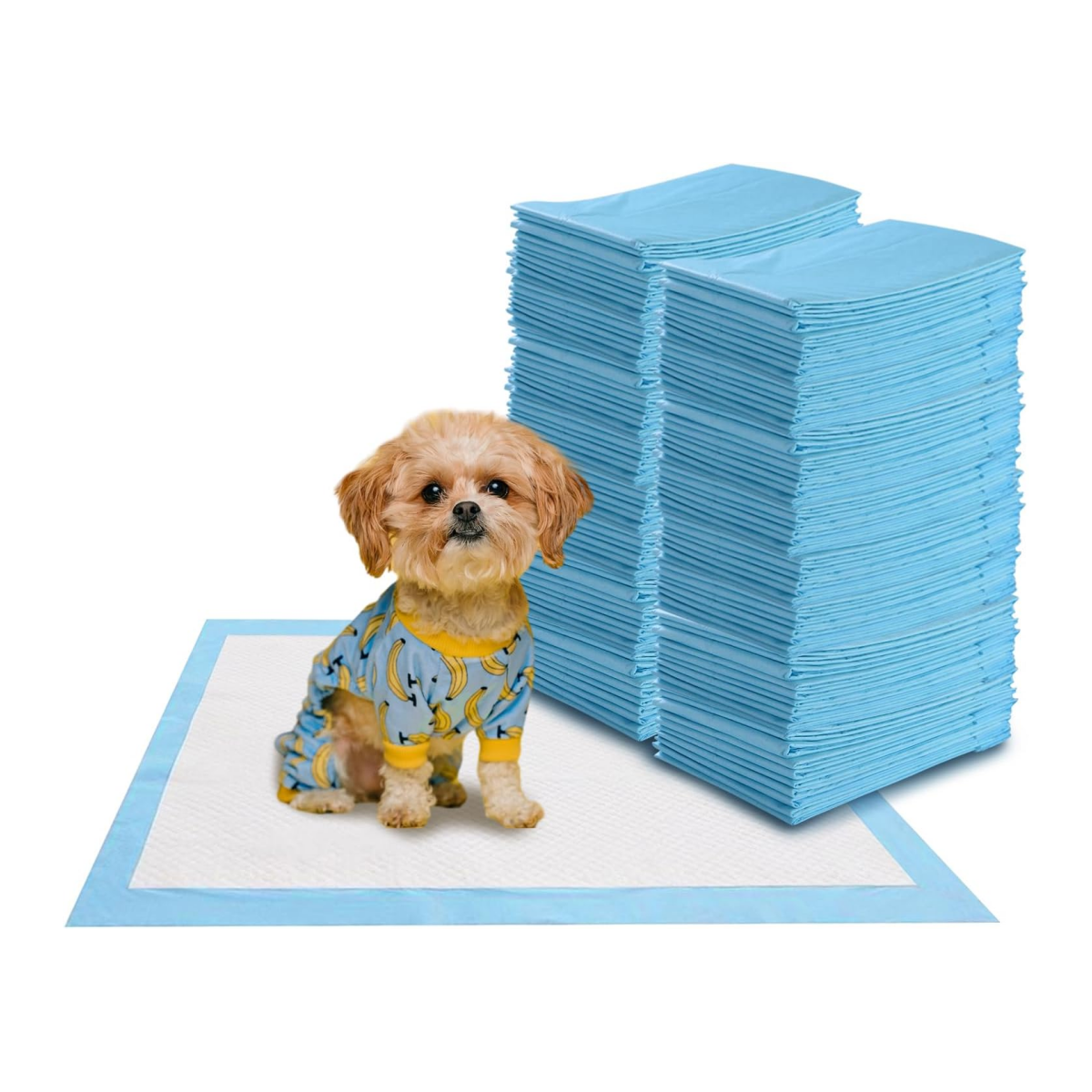 LIVSK Lekvrije Trainingspads voor Honden - 5 Laags - Hypoallergeen - Multifunctioneel - 100 Stuks - 60 x 60 cm - Wit en Blauw