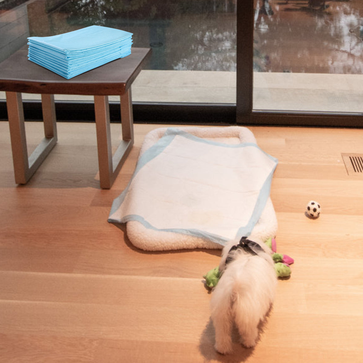 LIVSK Wegwerponderleggers voor Huisdieren - 5 Laags - Lekvrij - Hypoallergeen - 300 Stuks - 60 x 40 cm - Wit en Blauw