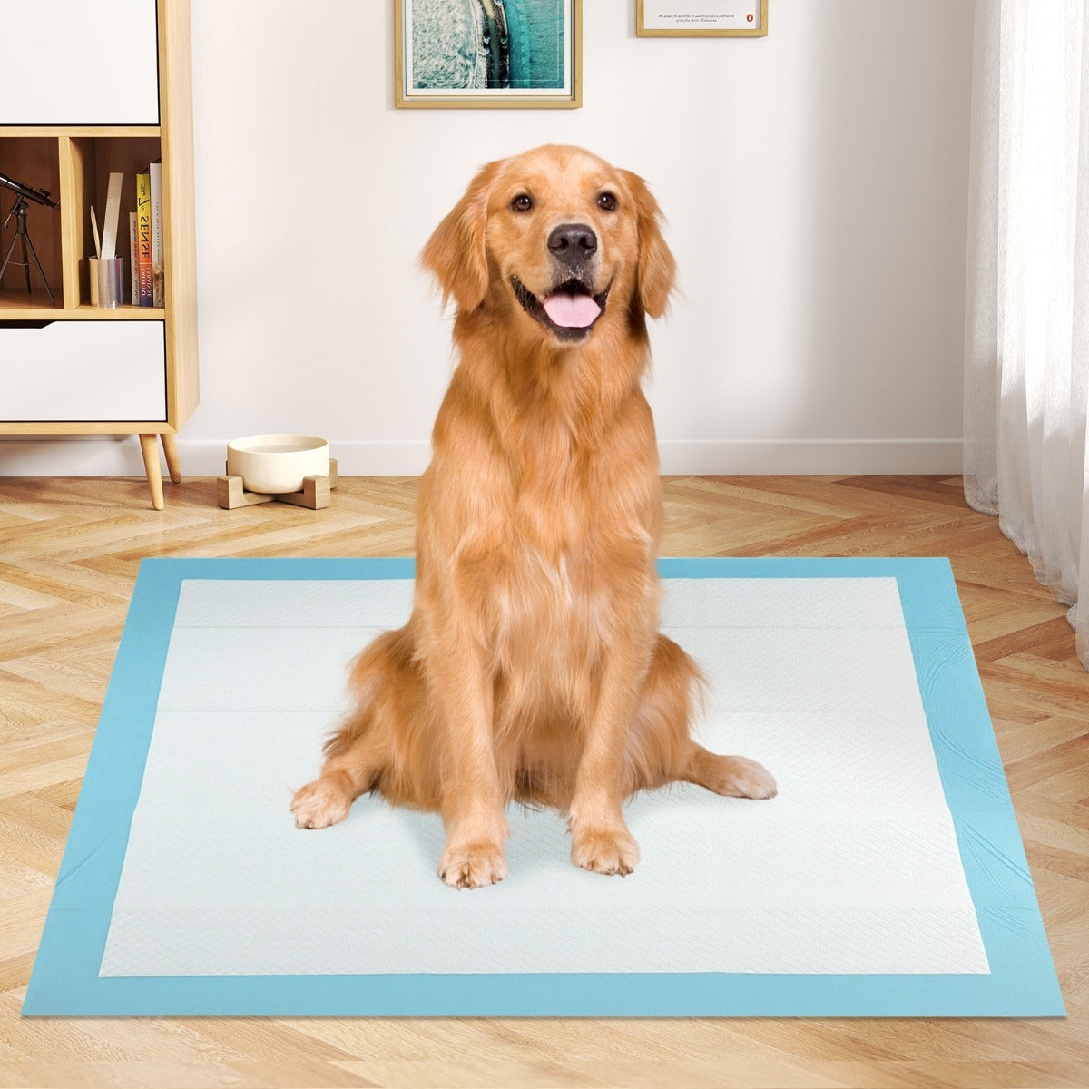 LIVSK Honden- en Puppy-Urinepads - 6-Laags Ontwerp - Lekvrij en Absorberend - 90 x 90 cm - 100 Stuks - Blauw+Wit