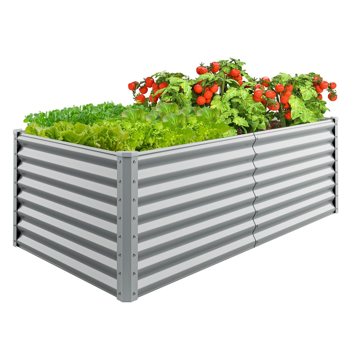 LIVSK Verhoogd Tuinbed - Royale Capaciteit voor Diverse Planten - Open Bodem voor Luchtcirculatie - Gegalvaniseerd Metaal - 180 x