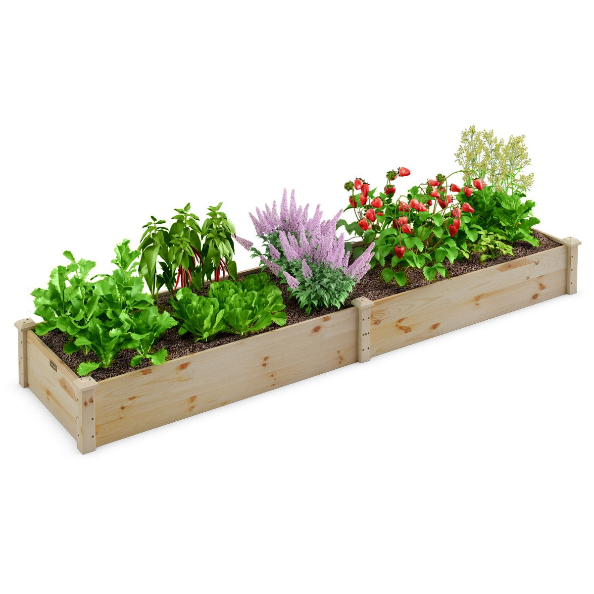 LIVSK Verhoogde Plantenbak - Massief Dennenhout - Eenvoudige Montage - Open Bodem voor Optimale Groei - 240 x 60 x 25 cm - Natuur