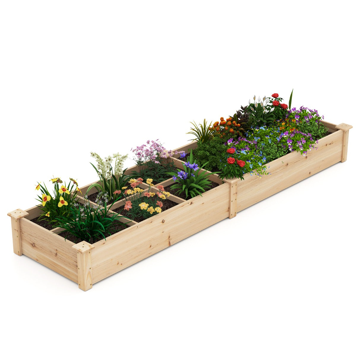 LIVSK Grote Verhoogde Houten Plantenbak - 2 Compartimenten met Verdelers - Duurzaam Sparrenhout - Open Basis - 228 x 62 x 25 cm -