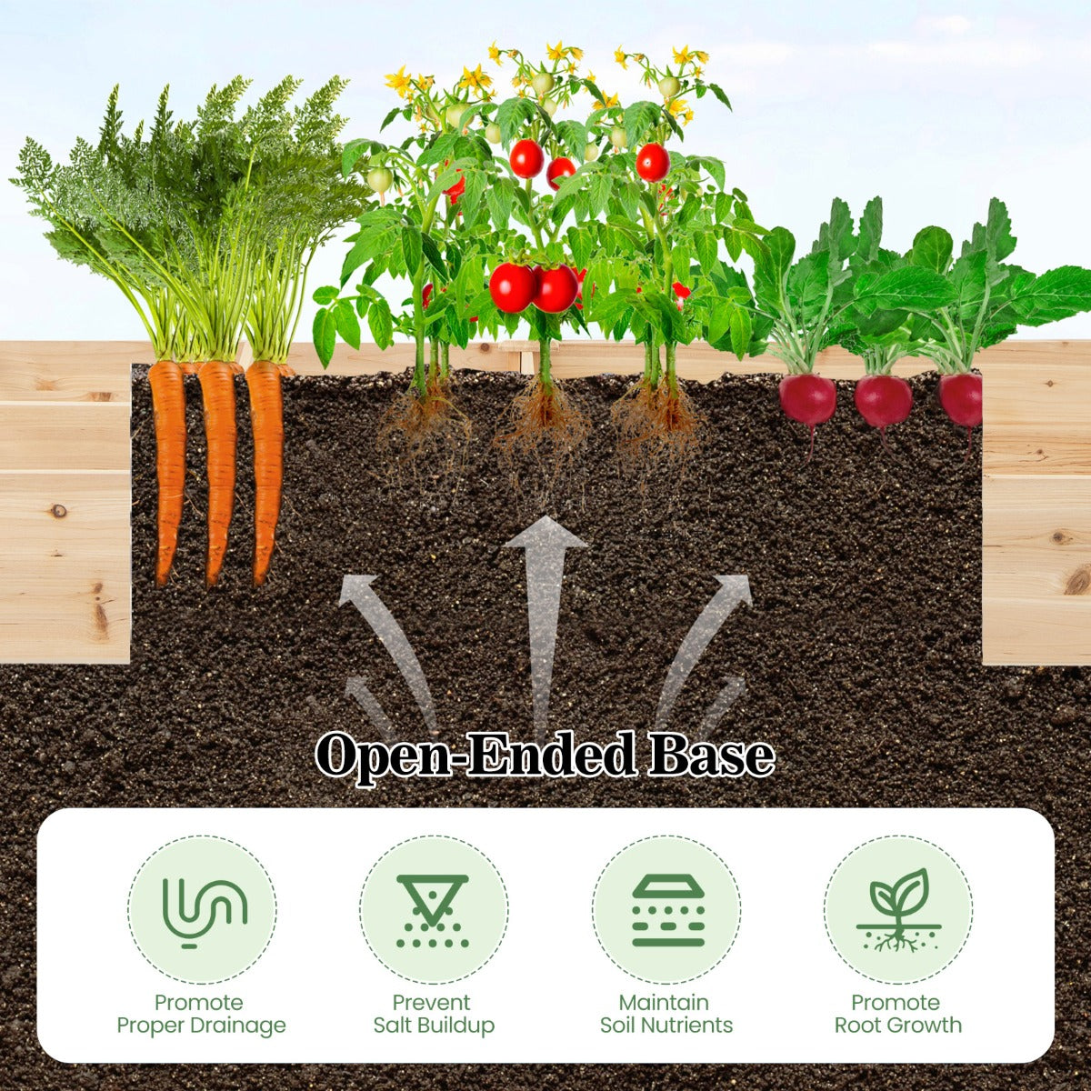 LIVSK Grote Verhoogde Houten Plantenbak - 2 Compartimenten met Verdelers - Duurzaam Sparrenhout - Open Basis - 228 x 62 x 25 cm -