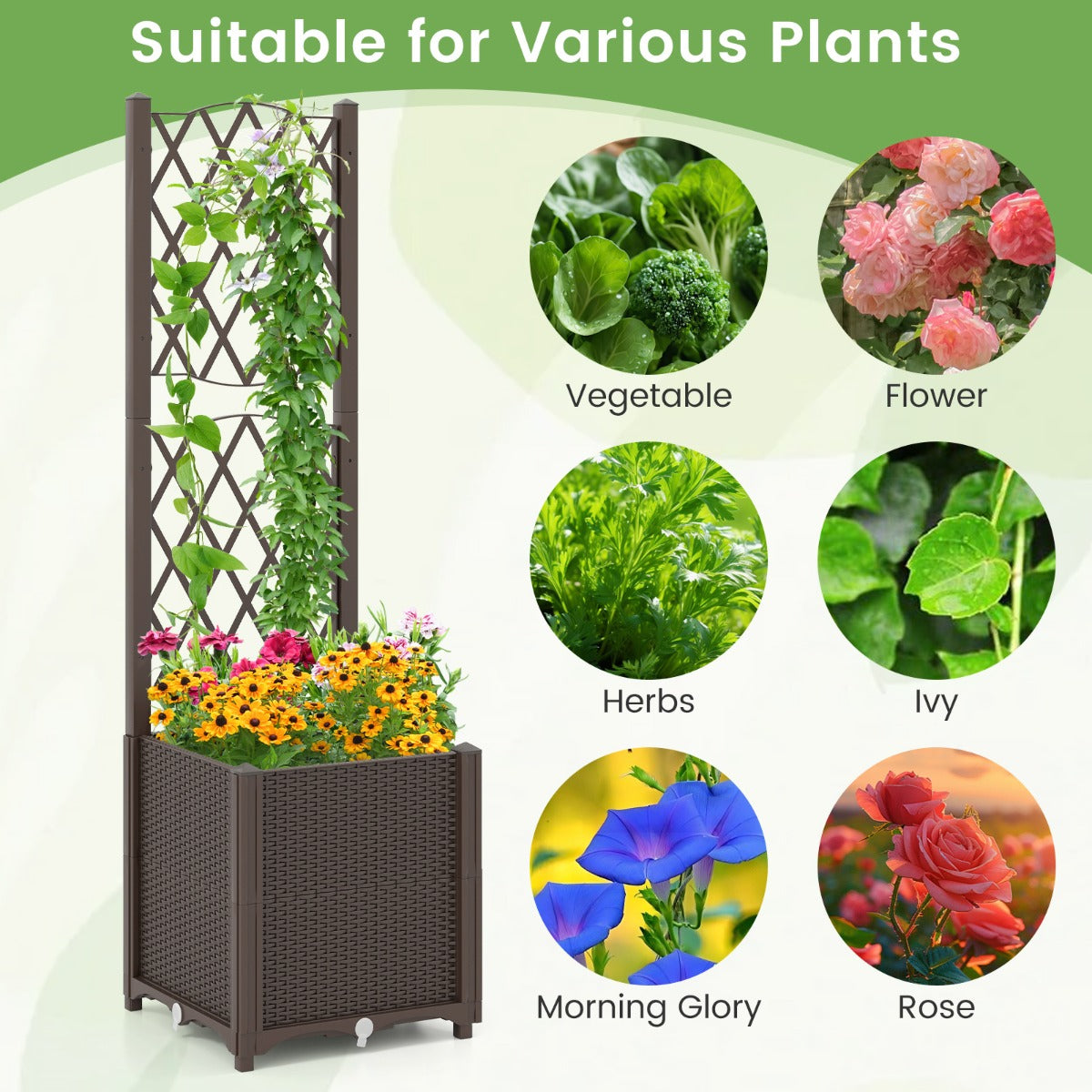 LIVSK 2-in-1 Verhoogde Tuinbak met Verticale Schutting - Zelfbewateringssysteem - Eenvoudige Montage - 40 x 40 x 140 cm - Koffie
