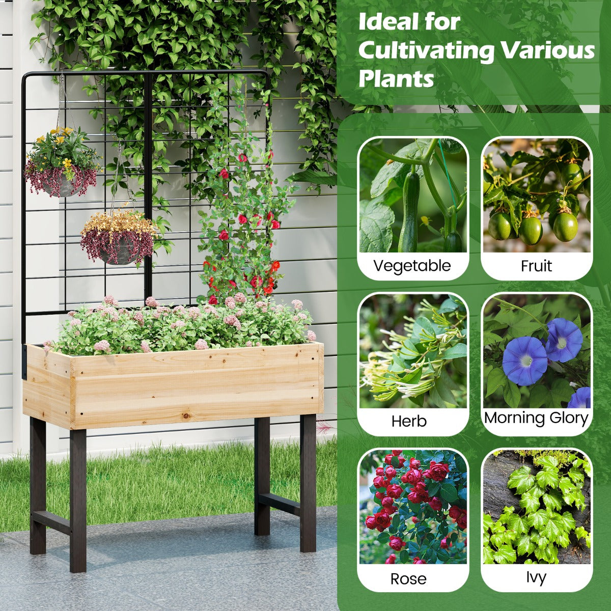 LIVSK Verhoogde Houten Plantenbak met Trellis - Ruim Kweekoppervlak - Ergonomisch Ontwerp - Duurzaam Dennenhout - Natuurlijk