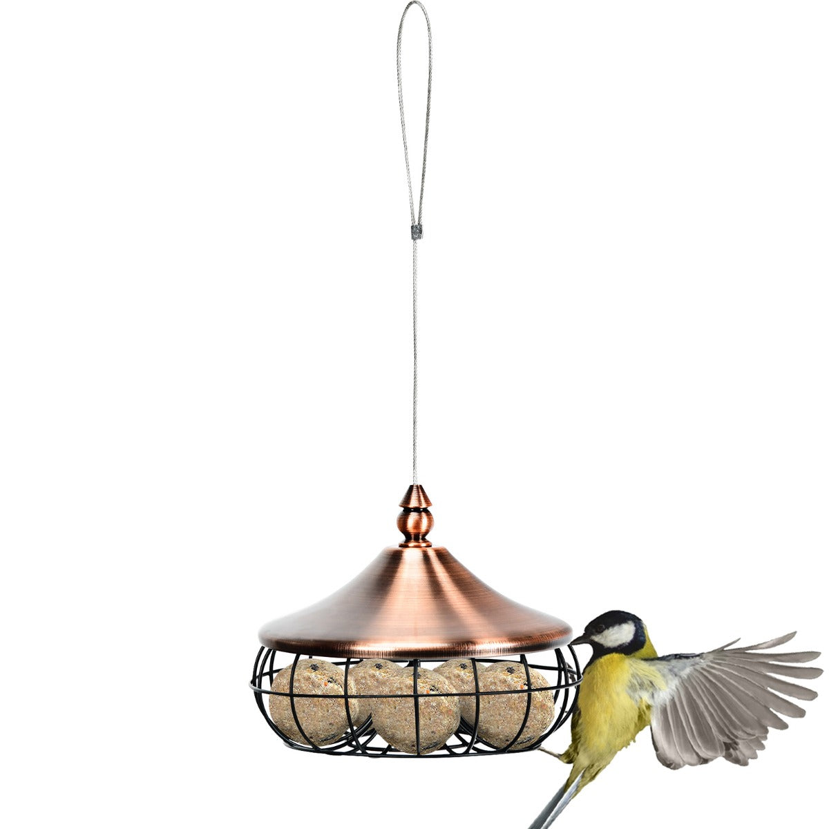 LIVSK Vogelvoederbak met Gebogen Ontwerp - Weerbestendig en Duurzaam - Eenvoudig bij te vullen - Voor Vetbollen - Groen