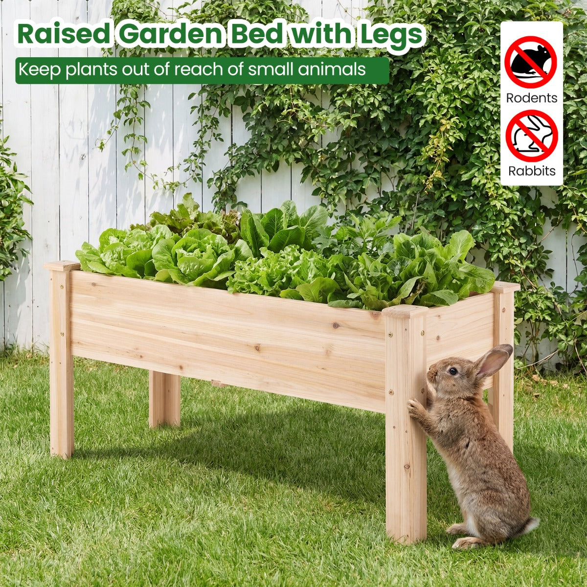 LIVSK Verhoogd Tuinbed - Duurzaam Cederhout - Comfortabele Hoogte 51 cm - Drainagegaten - Voor Groenten en Bloemen - Naturel
