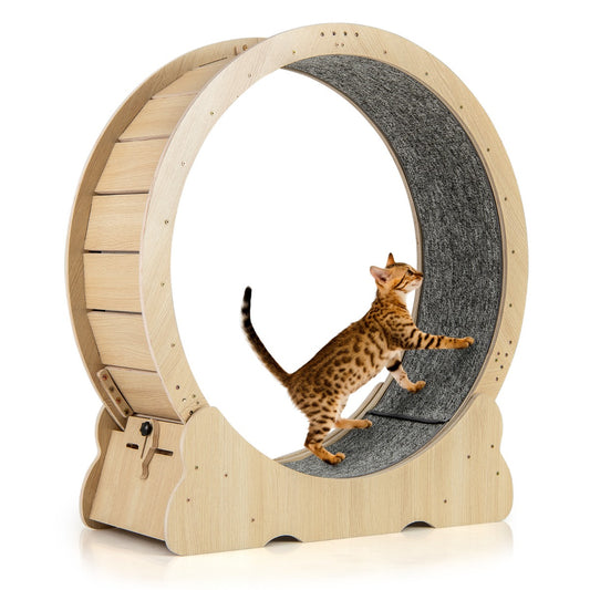 Livsk costway 101 cm groot trainingswiel voor katten kattenloopband met vergrendelbaar mechanisme gelambriste loopvlak