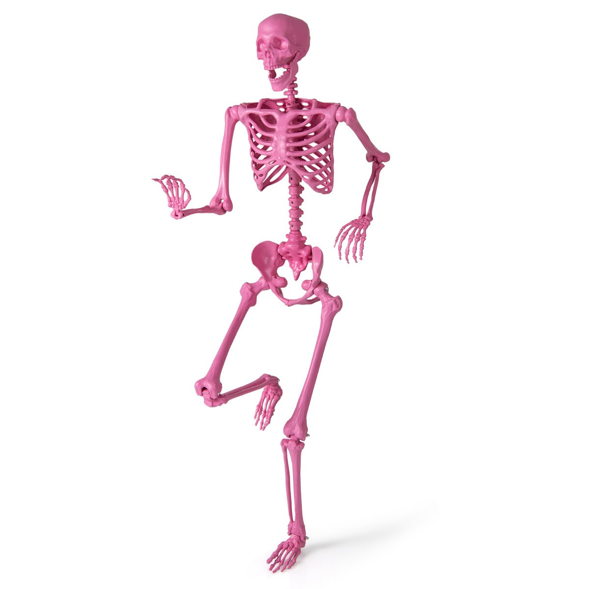 LIVSK Halloween Skelet 160 cm - Levensgroot en Poseerbaar - Flexibele Gewrichten - Duurzaam voor Binnen en Buiten - Roze