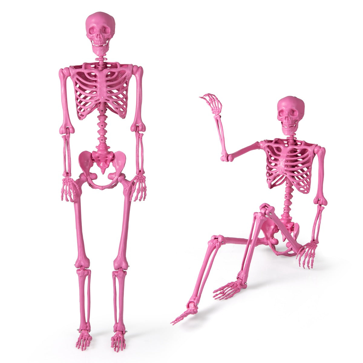 LIVSK Halloween Skelet 160 cm - Levensgroot en Poseerbaar - Flexibele Gewrichten - Duurzaam voor Binnen en Buiten - Roze