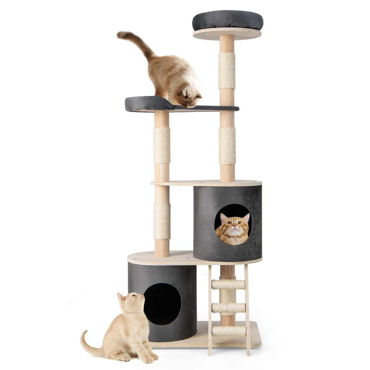 LIVSK Krabpaal voor Katten - Activiteitencentrum met 2 Condo's - Stevig Hout en Sisal - Antislip Glijders - 68 x 39 x 160 cm -