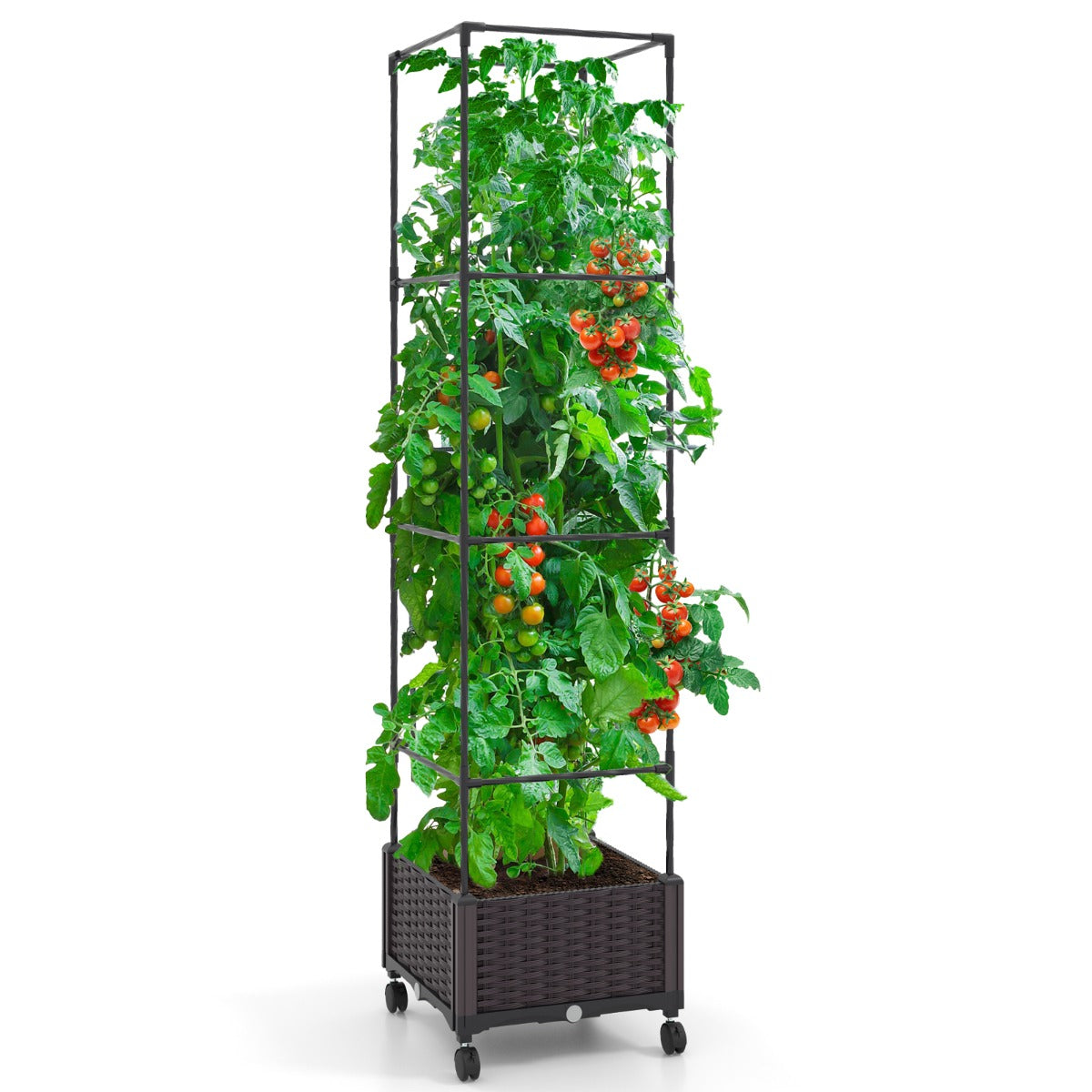 LIVSK Verstelbare Plantenbak met Traliewerk - Zelfbewateringssysteem - 2-in-1 Ontwerp met Wielen - 40 x 40 x 170 cm - Zwart +