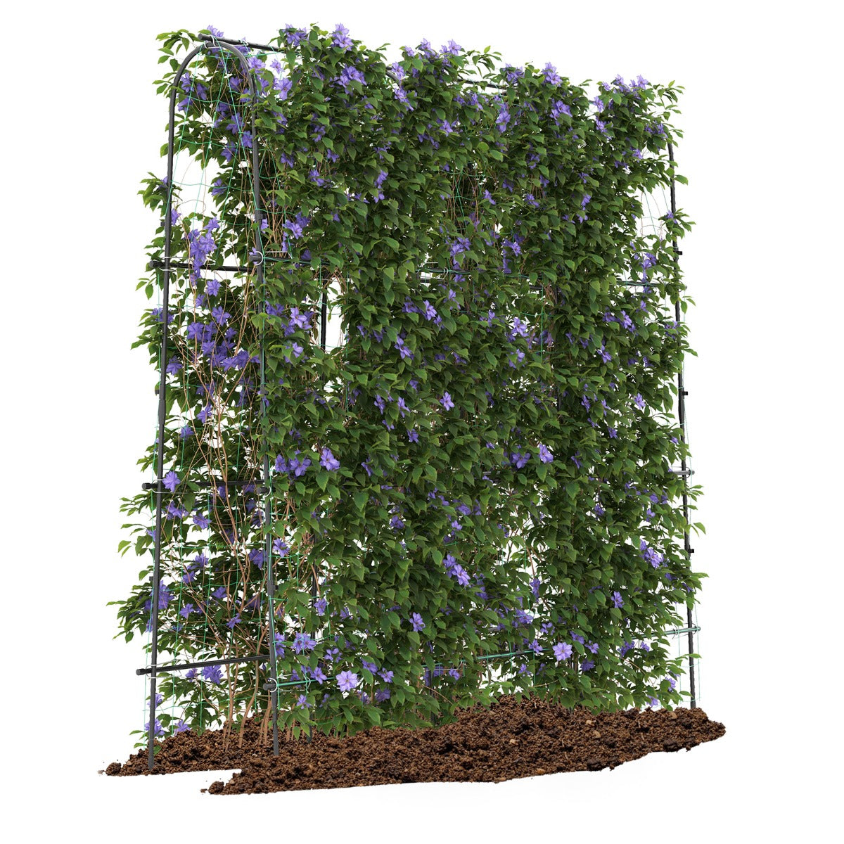 LIVSK Tuin Klimrek - U-Vormig Ontwerp voor Optimale Groei - Duurzaam en Stabiel - Eenvoudige Montage - 179 x 32-65 x 180 cm -