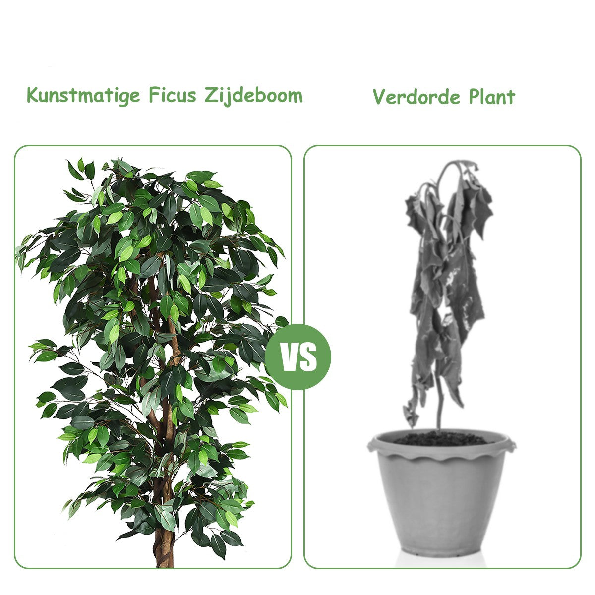 LIVSK Kunstmatige Ficusboom - 180 cm Hoog - 1008 Bladeren - Natuurlijke Boomstam - Onderhoudsvriendelijk - Groen