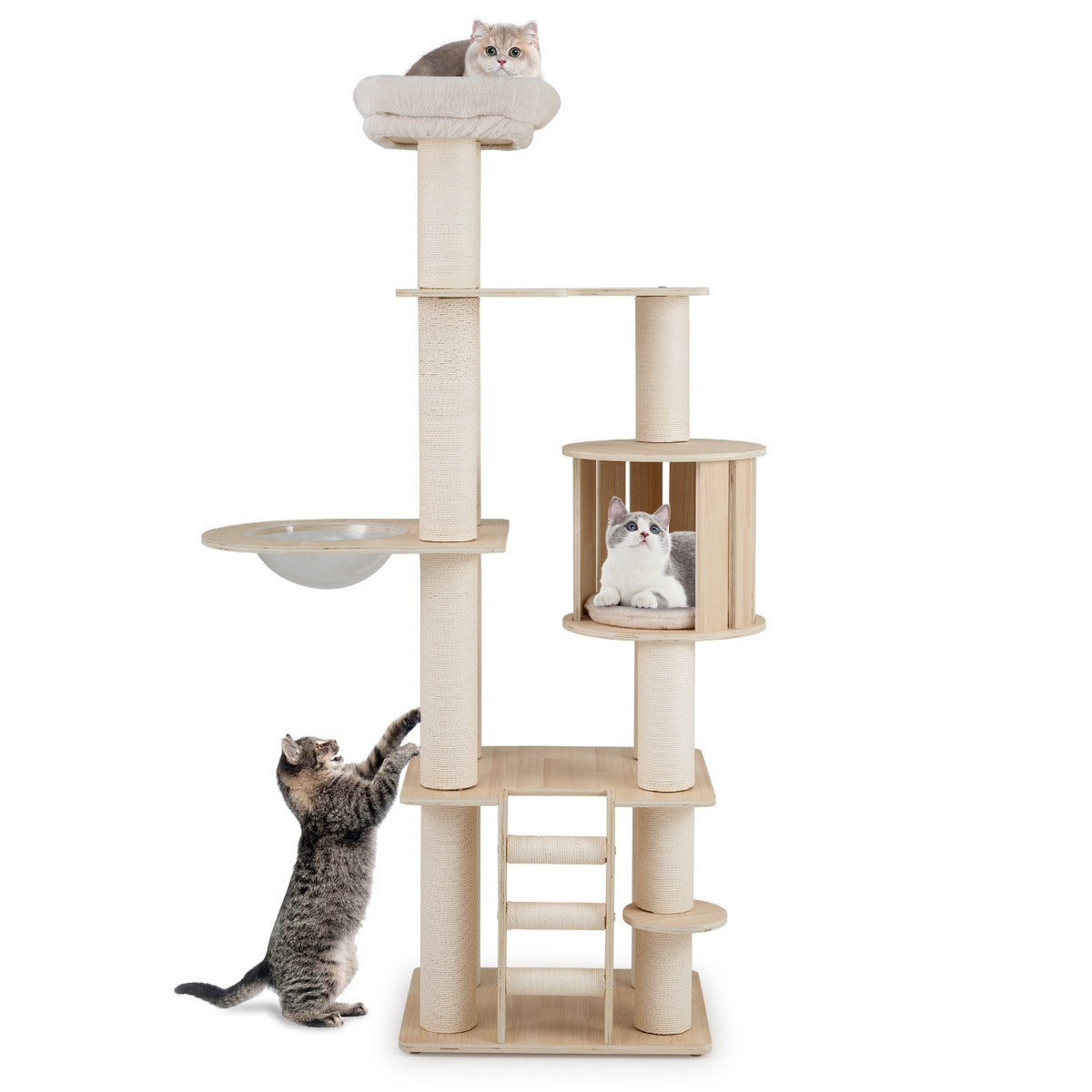 Livsk costway 185 cm hoge houten krabpaal klimboom met wasbare pluche kussens indoor kattenmeubels