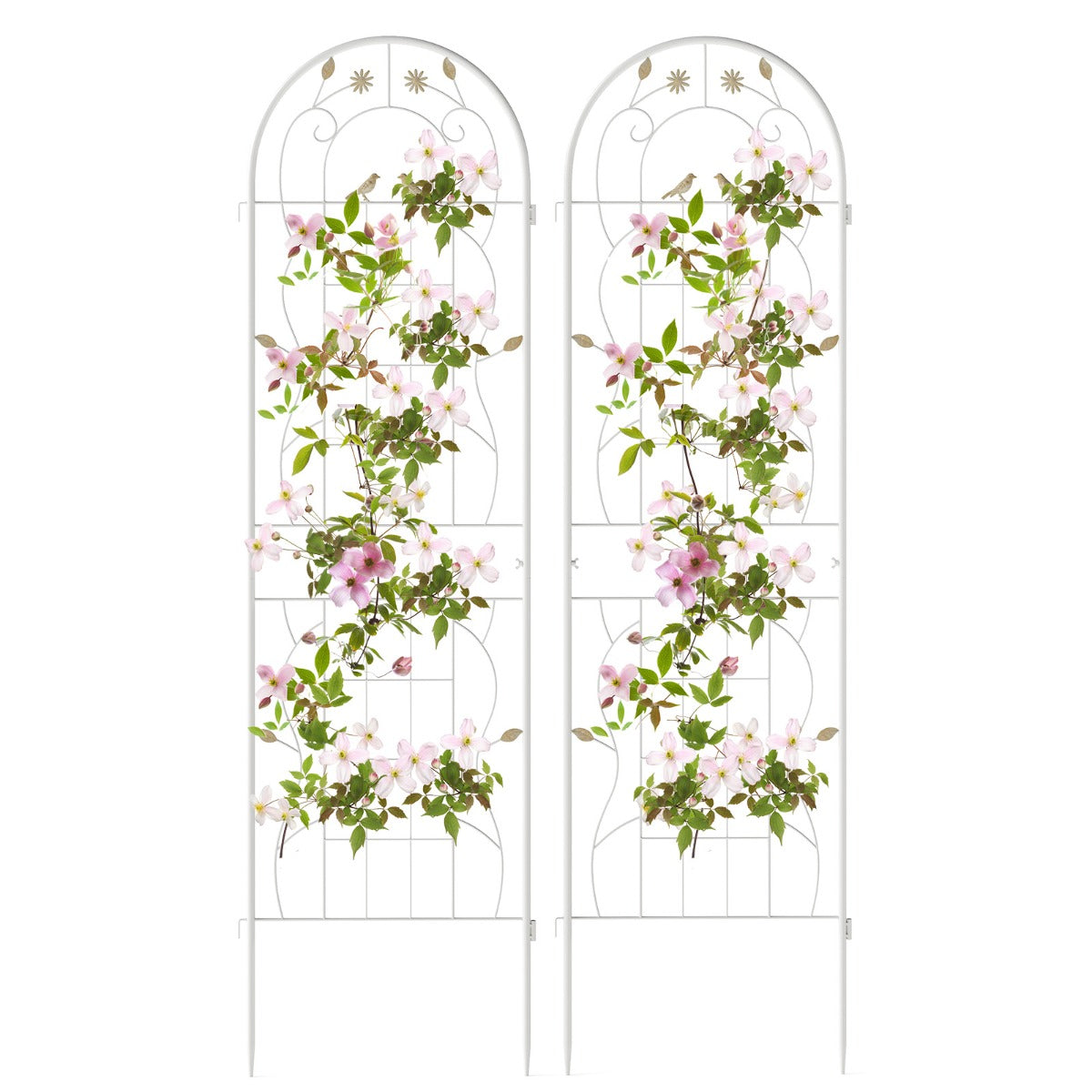 LIVSK Metalen Tuinscherm - Decoratief Klimrek voor Planten - 180 x 50 cm - Roestbestendig - Eenvoudige Montage - Wit