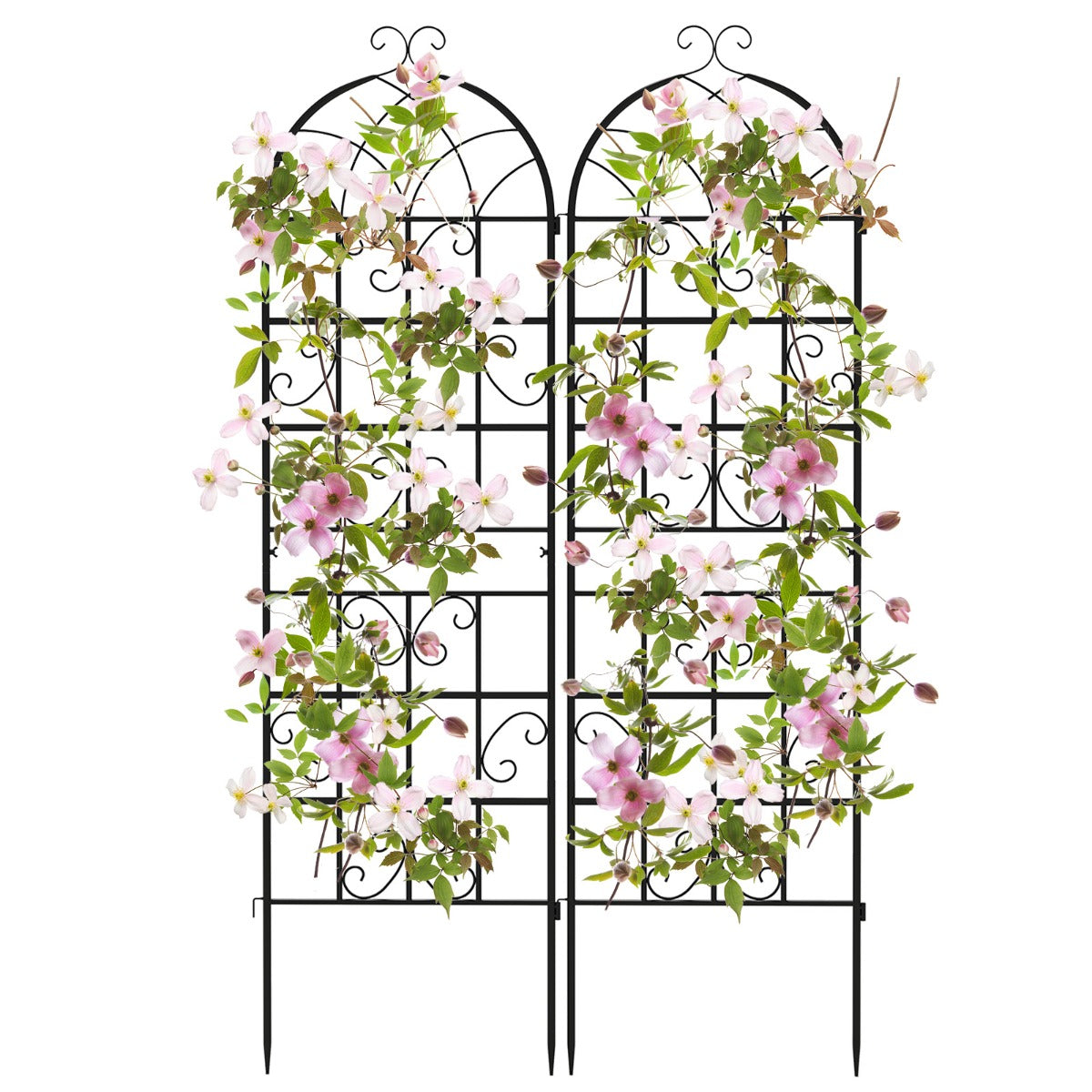 LIVSK Metalen Tuinspalier - Vrijstaand en Ruimtebesparend - Voor Groenten en Planten - 180 x 50 cm - Zwart
