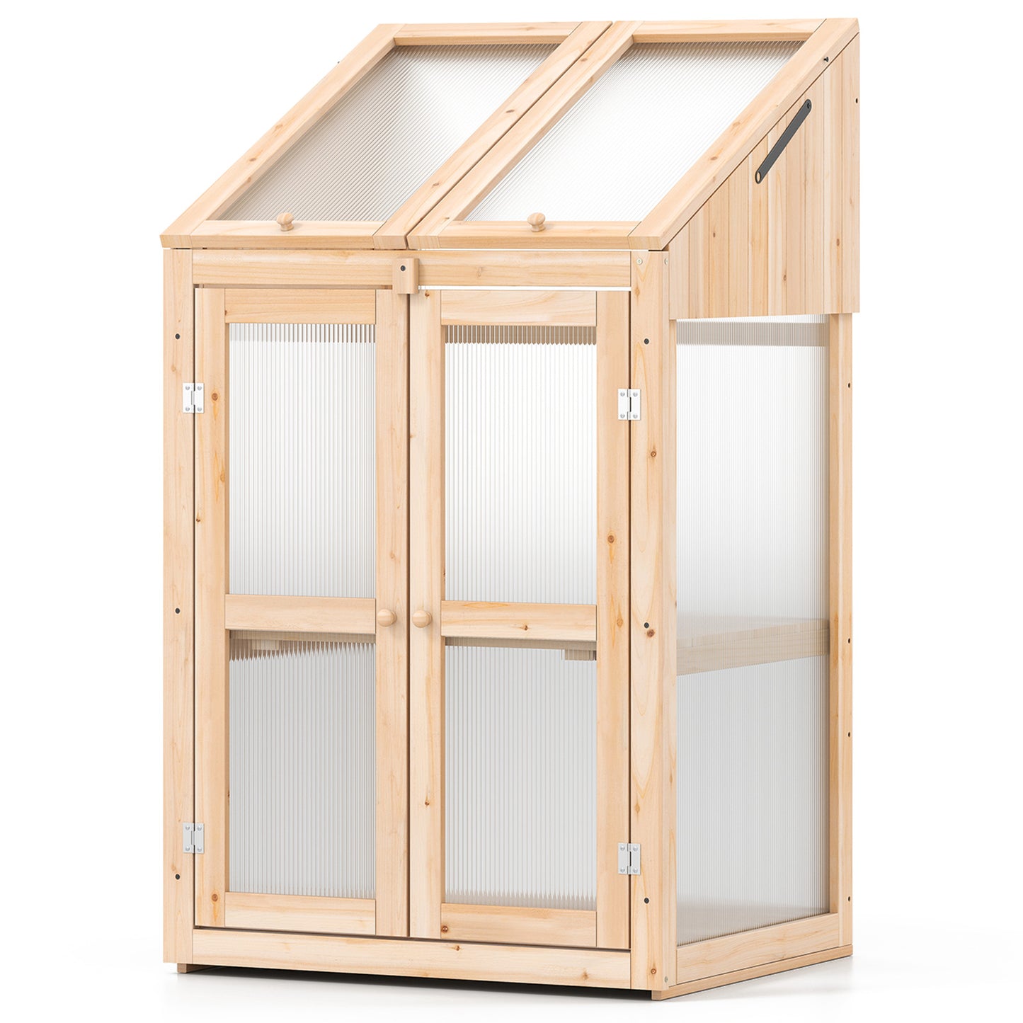 LIVSK Mini-kweekkas - 2 Niveaus met Opklapbaar Dak - Transparante PC-panelen - Voor Binnen & Buiten - 69 x 58 x 121 cm -