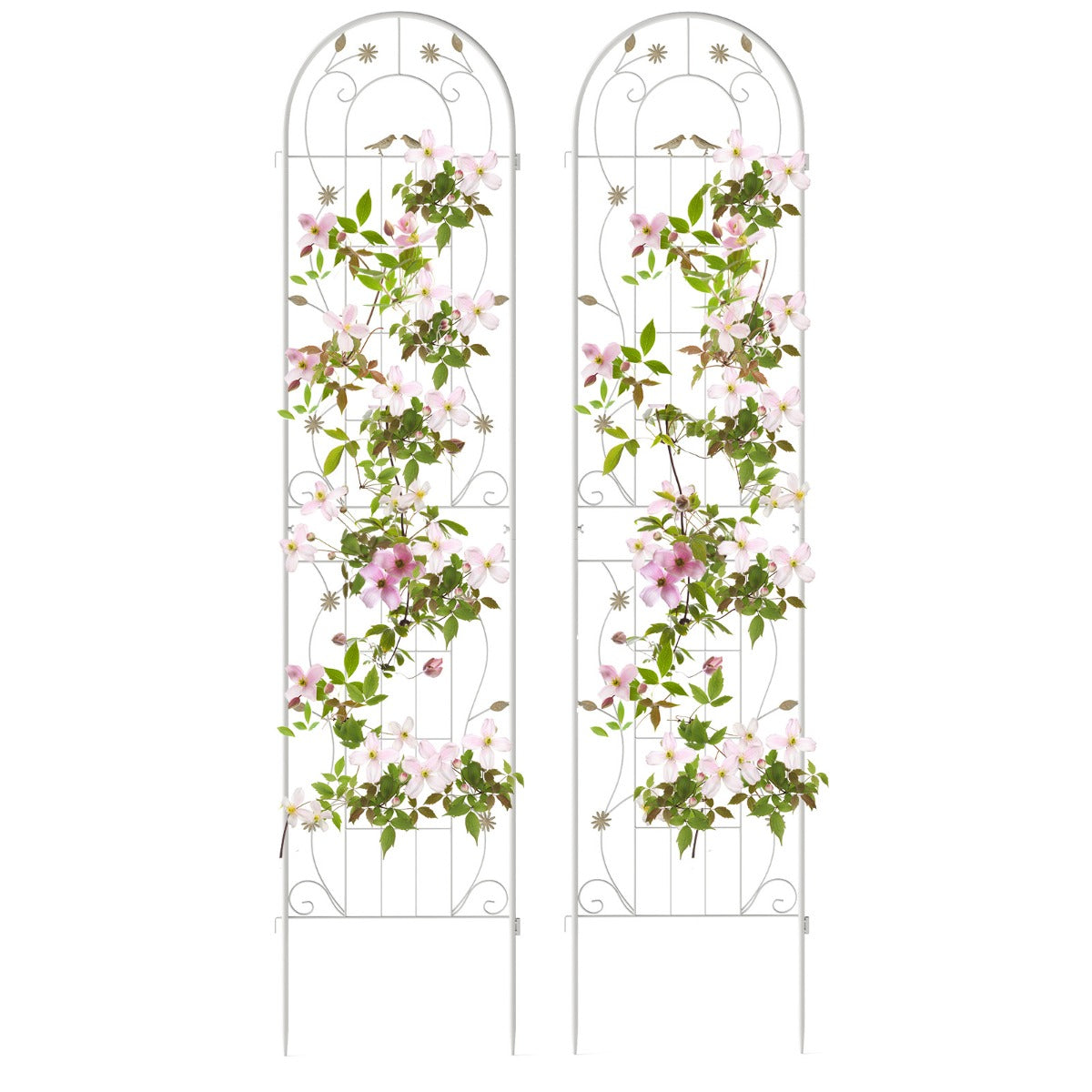 LIVSK Tuinscherm van Metaal - Vrijstaand Plantenrek - 220 x 50 cm - Roestbestendig - Eenvoudige Montage - Wit