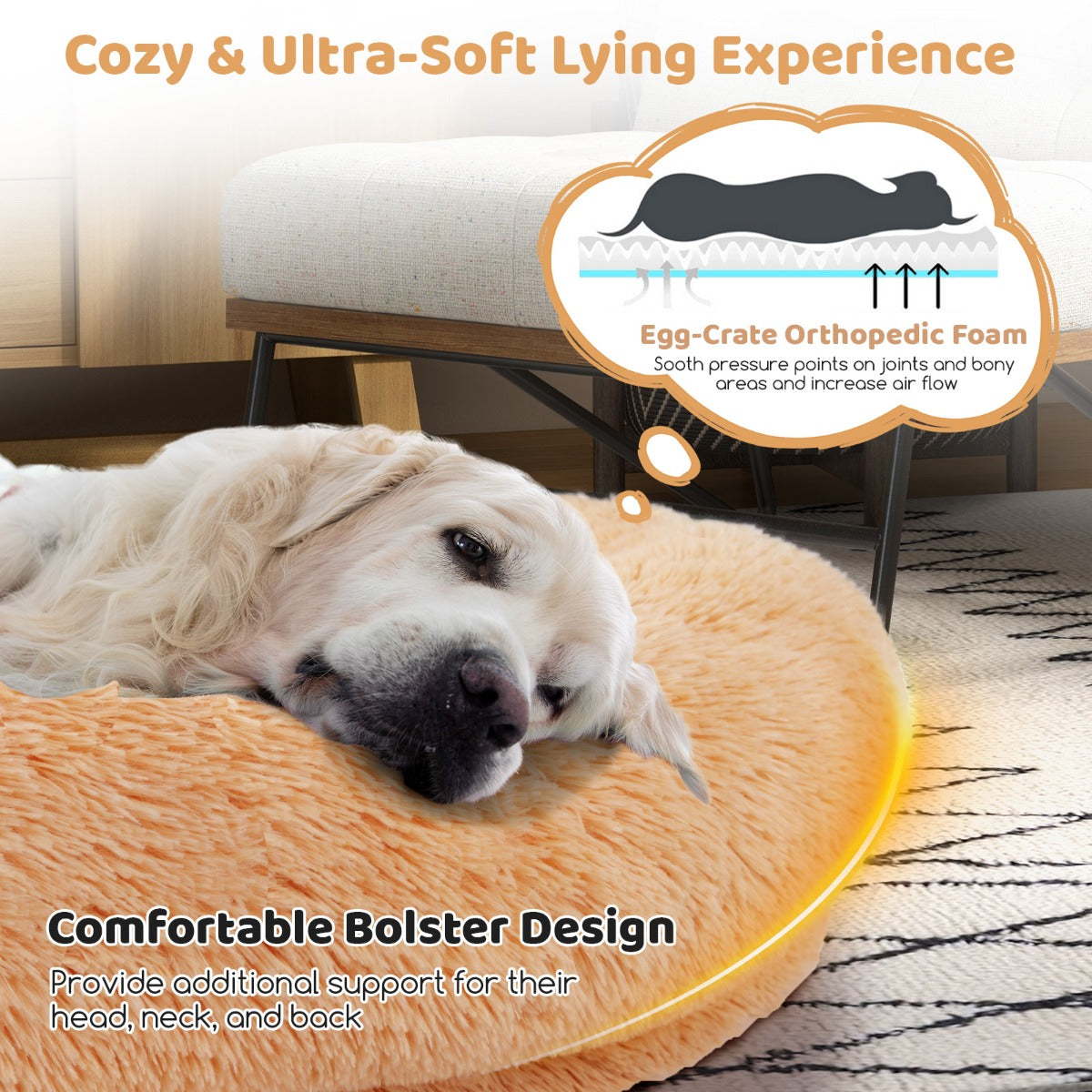 LIVSK Honden- en Mensenbed - Orthopedisch Honingraatschuim - Inclusief Deken en Kussen - Duurzaam en Waterdicht - 171 x 115 x 25