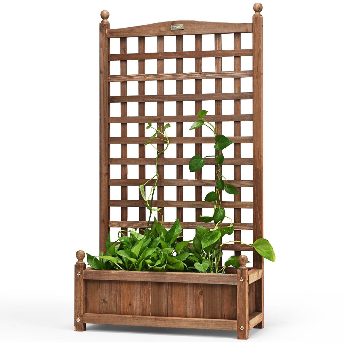 LIVSK Plantenbak met Klimrek - Massief Dennenhout - Weerbestendig - Waterafvoersysteem - 64,5 x 28 x 120 cm - Donkerbruin