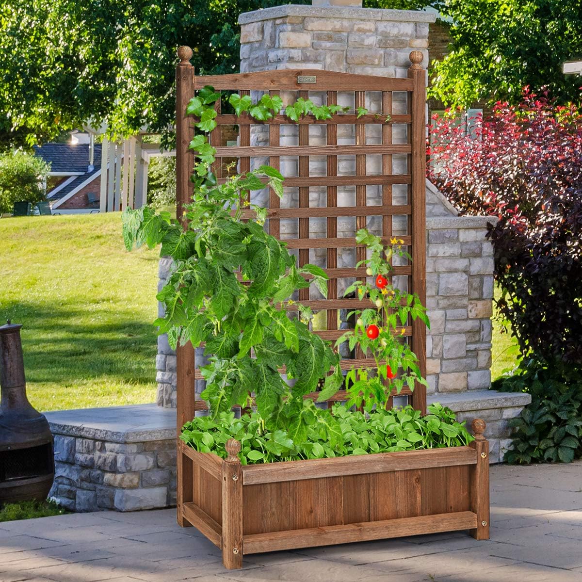 LIVSK Plantenbak met Klimrek - Massief Dennenhout - Weerbestendig - Waterafvoersysteem - 64,5 x 28 x 120 cm - Donkerbruin