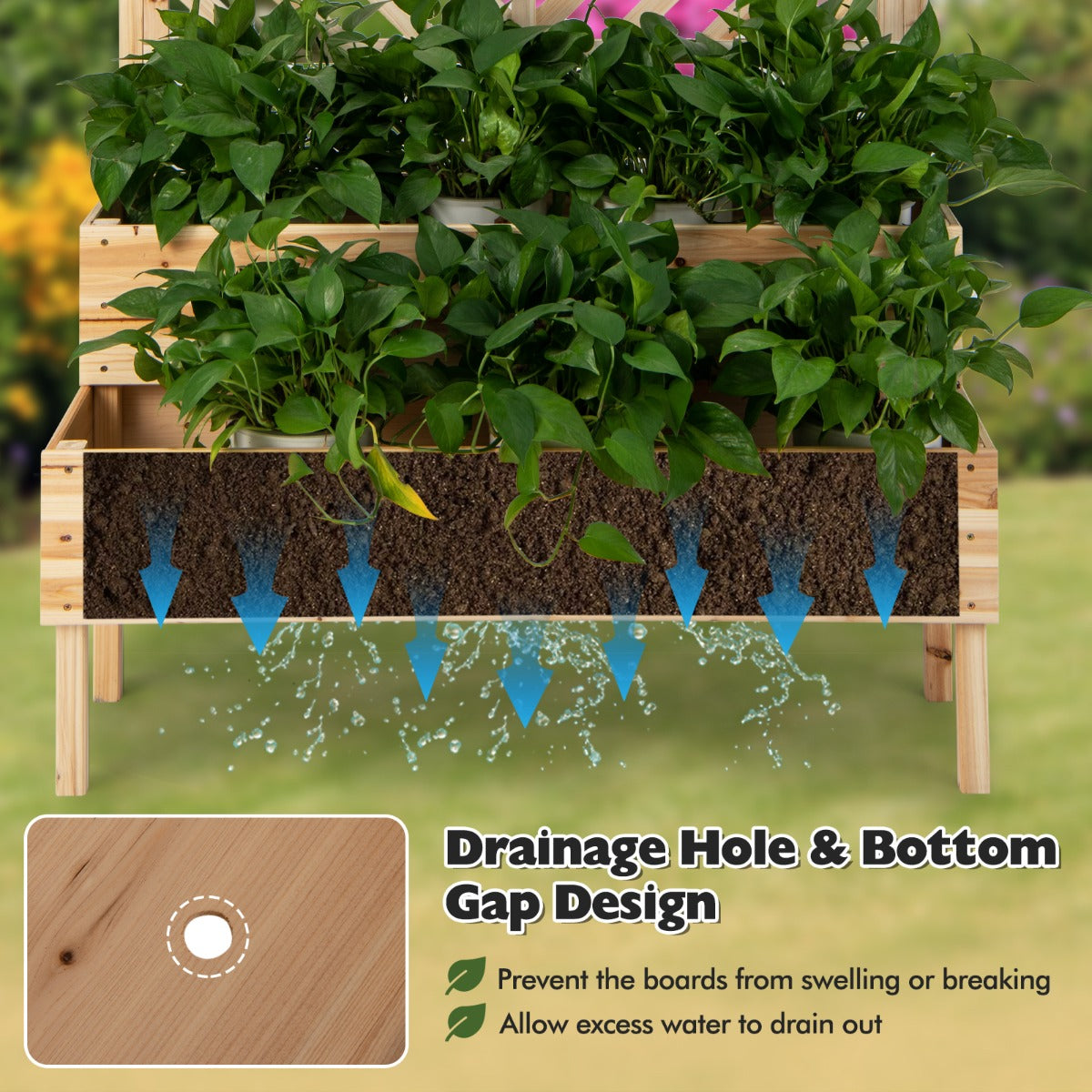 LIVSK 2-in-1 Verhoogde Plantenbak - Met Latwerk en Waterafvoer - Ergonomische Hoogte - 109 x 62 x 135 cm - Natuur