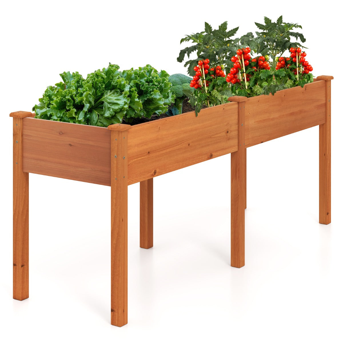 LIVSK Verhoogde Plantenbak - Houten Tuinbed met Scheidingswand - Ergonomische Hoogte - 185 x 58 x 77 cm - Geel