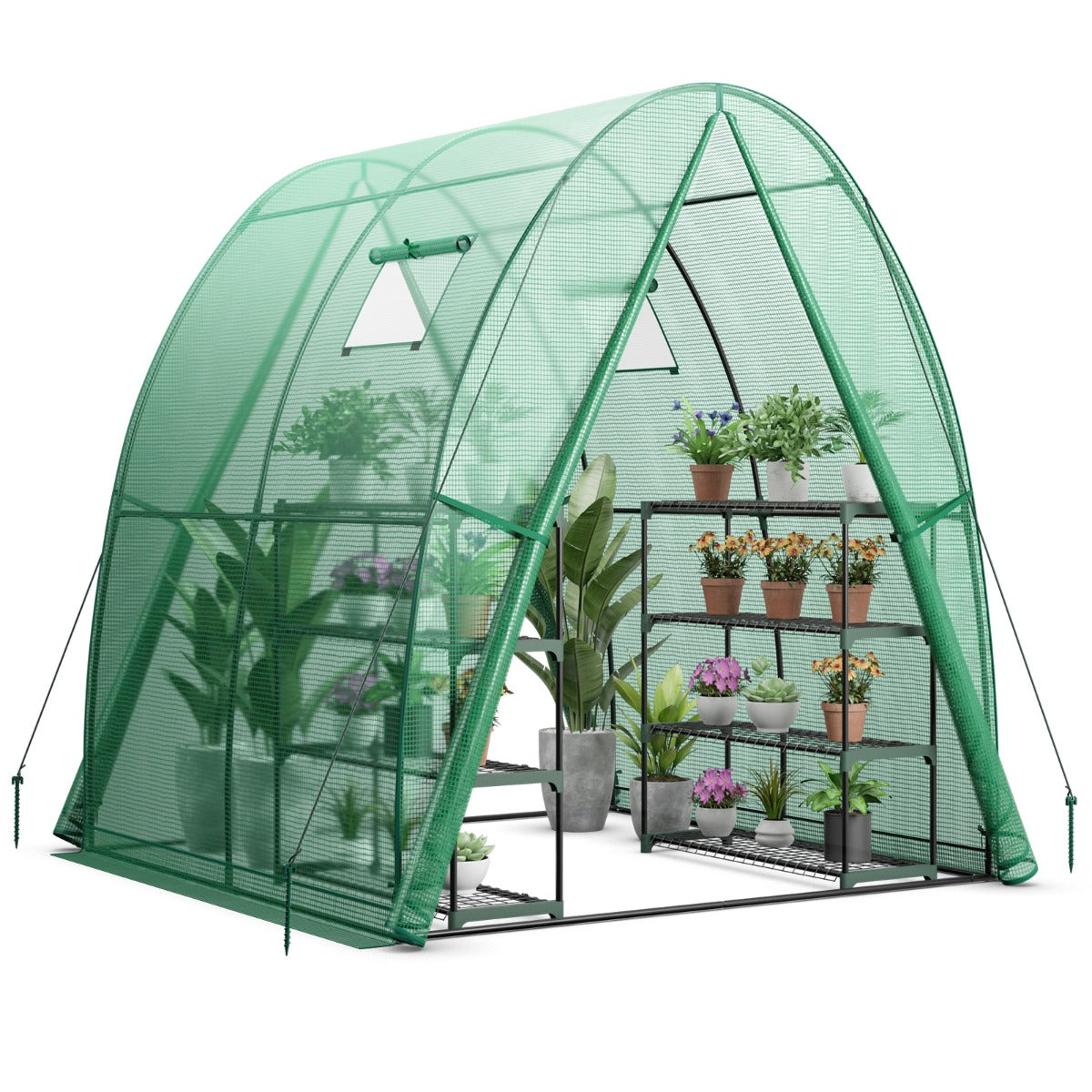 LIVSK Draagbare Tunnelkas - Sterke PE-beschermhoes - 2 Deuren met Rits - Oprolbare Ramen - 181 x 181 x 200 cm - Groen