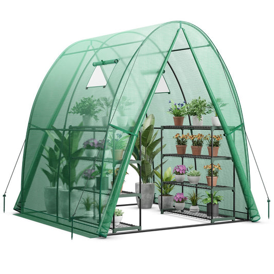 LIVSK Draagbare Tunnelkas - Sterke PE-beschermhoes - 2 Deuren met Rits - Oprolbare Ramen - 181 x 181 x 200 cm - Groen