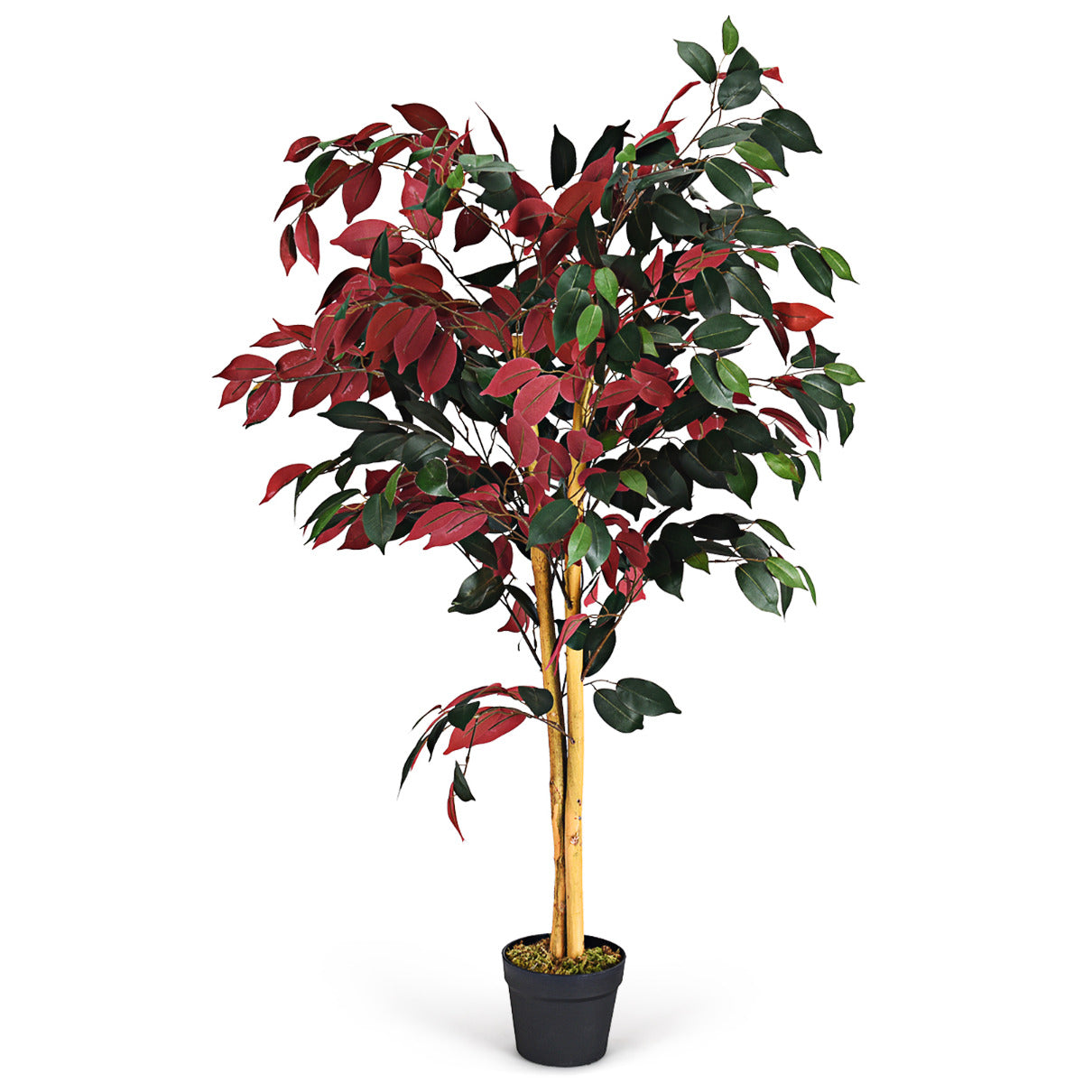 LIVSK Kunstficus - 120 cm Hoog - 2 Stammen - 504 Bladeren - Onderhoudsvrij - Stabiliteit met Cementbasis - Groen en Rood