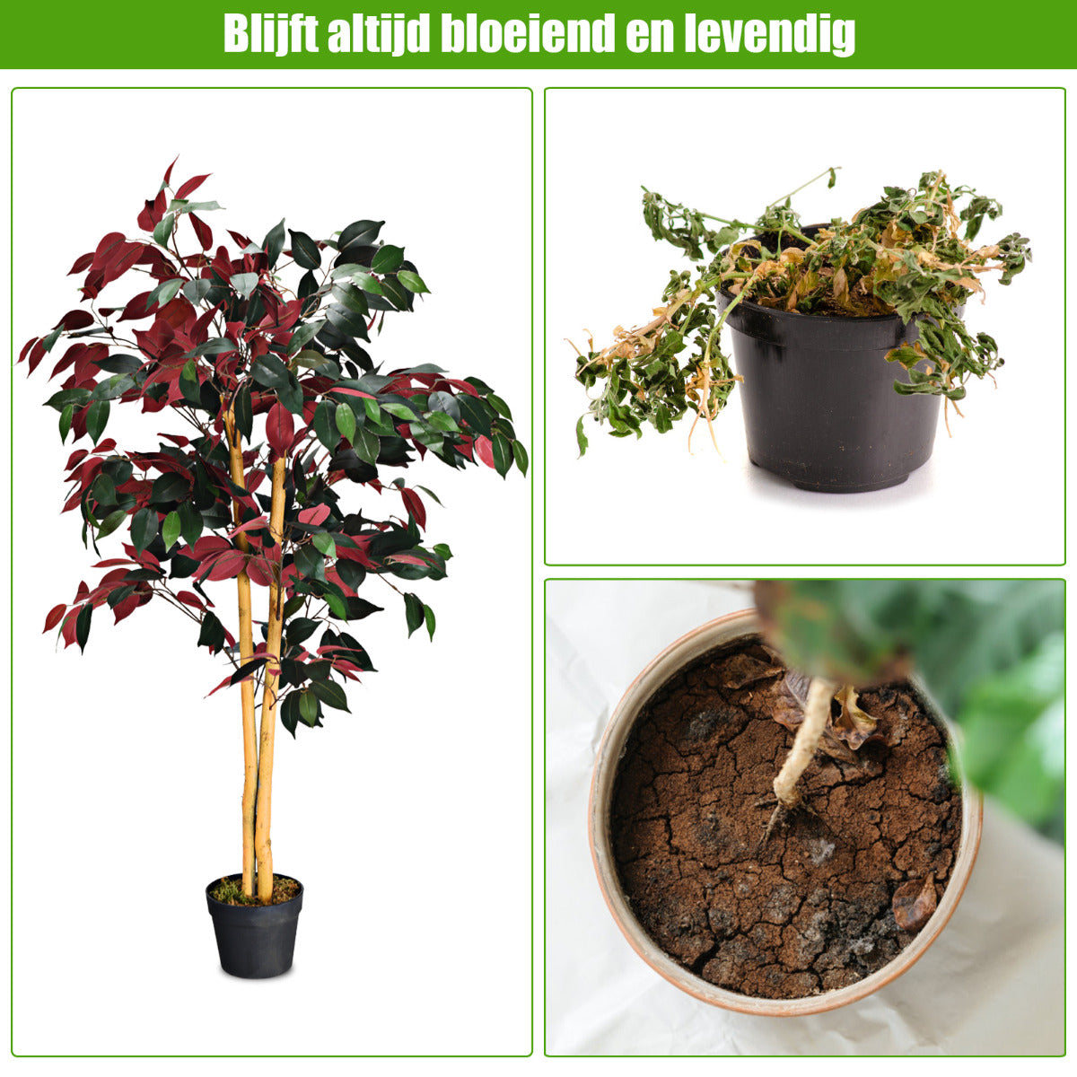 LIVSK Kunstficus - 120 cm Hoog - 2 Stammen - 504 Bladeren - Onderhoudsvrij - Stabiliteit met Cementbasis - Groen en Rood