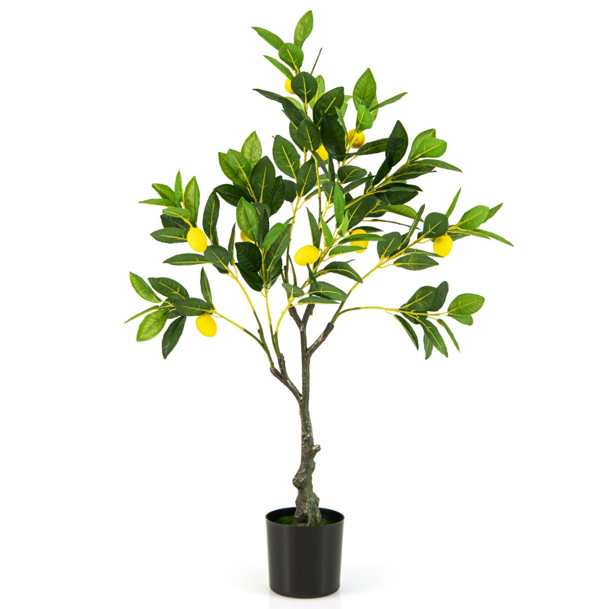LIVSK Kunstmatige Citroenboom - Realistische Citroenvruchten - Onderhoudsvrij - Hoogte 80 cm - Stevige Cementpot - Groen + Geel +