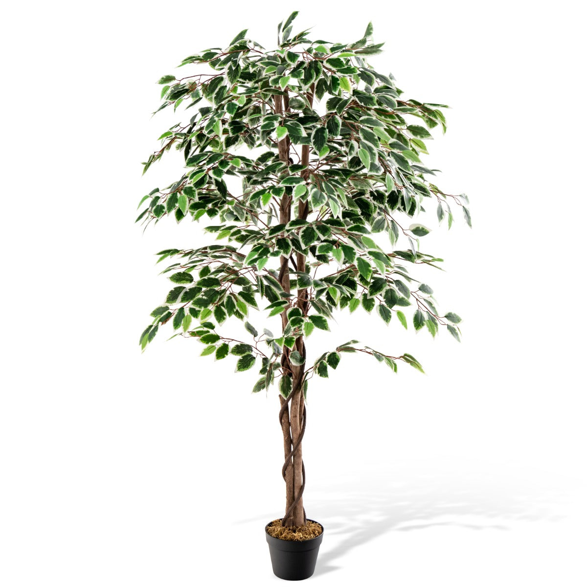LIVSK Kunstmatige Ficus Boom 160 cm - 1008 Bladeren - Levensechte Houten Stam - Hypoallergeen - Cementgevulde Voet - Groen
