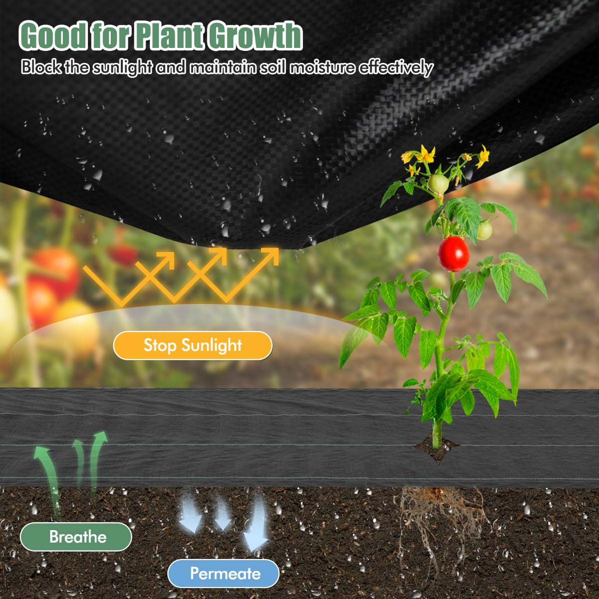 LIVSK Onkruidbestrijdingsdoek - Slijtvast - Zonlichtblokkering - Waterdoorlatend - 25 m x 2 m - Zwart