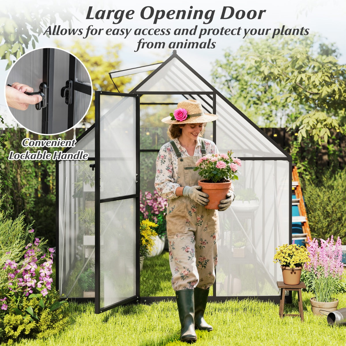 LIVSK mini-kas om in te lopen - Ventileerbaar dakraam - Aluminiumlegering Frame - 250 x 190 x 195 cm - Transparant/zwart