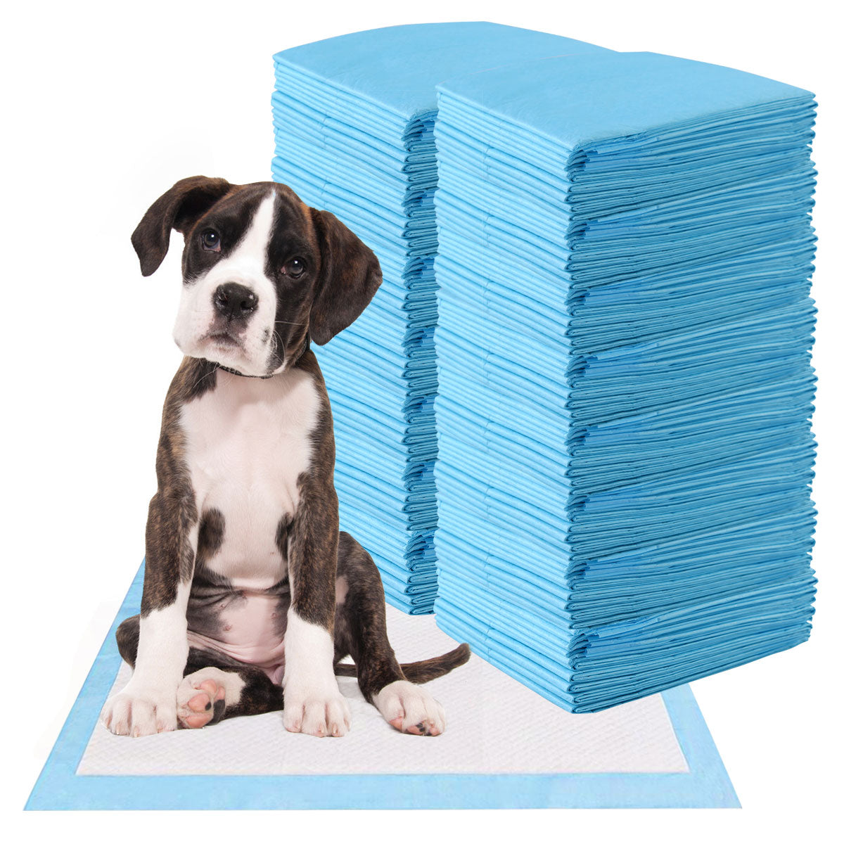 LIVSK Hygiënische Trainingspads - 5-Laags Lekvrij Ontwerp - Hypoallergeen - Voor Puppytraining - 100 Stuks - Wit en Blauw